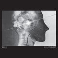 ZOMBI (2) - DIRECT INJECT
