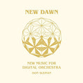 DON SLEPIAN - NEW DAWN (VINYL)
