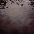 TARENTEL - WE MOVE THROUGH WEATHER (VINYL)