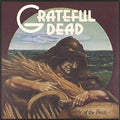 THE GRATEFUL DEAD - WAKE OF THE FLOOD (ROCKTOBER 2018 EXCLUSIVE) (VINYL)