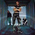 SKUNK ANANSIE - PARANOID & SUNBURNT (VINYL)