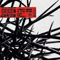 TEETH - A BIBLICAL WORSHIP OF VIOLENCE (VINYL)
