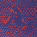 NO JOY - PASTEL AND PASS OUT (VINYL)