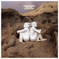 SHEARWATER - FELLOW TRAVELERS (VINYL)