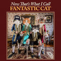 FANTASTIC CAT - NOW THAT'S WHAT I CALL FANTASTIC CAT (VINYL)