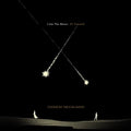 TEDESCHI TRUCKS BAND - I AM THE MOON: IV. FAREWELL (VINYL)
