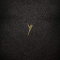 POP GROUP - Y (DEFINITIVE EDITION) (VINYL)