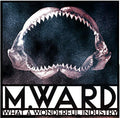 M. WARD - WHAT A WONDERFUL INDUSTRY (VINYL)