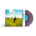 JAMES BLUNT - WHO WE USED TO BE (VINYL)