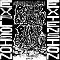 WILSON,RENNY - PUNK EXPLOSION / EXTENSION (VINYL)
