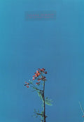 NEWSOM,JOANNA - JOANNA NEWSOM & THE YS STREET BAND EP (VINYL)