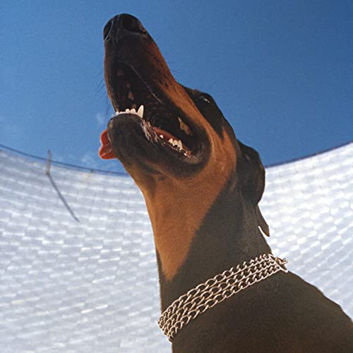 GOOD LIES [VINYL]