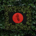 MOSES SUMNEY - LIVE FROM BLACKALACHIA (VINYL)