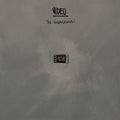 VIDEO - ENTERTAINERS (VINYL)