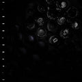 CRUMB - ICE MELT (VINYL)