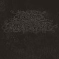 BORIS WITH MERZBOW - 4092001 (VINYL)