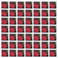 DUNGEN - 4 (VINYL)