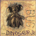 DINOSAUR JR - BUG (VINYL)