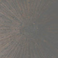 BASINSKI,WILLIAM;  LAWRENCE ENGLISH - SELVA OSCURA (VINYL)