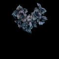A LOT LIKE BIRDS - DIVISI (VINYL)