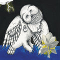 SONGS:OHIA - MAGNOLIA ELECTRIC COMPANY CO (VINYL)