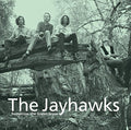 JAYHAWKS - TOMORROW THE GREEN GRASS [LP]
