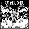 TERROR - PAIN INTO POWER (VINYL)
