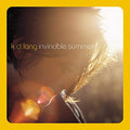 K.D. LANG - INVICIBLE SUMMER 20TH ANNIVERSARY EDITION (VINYL)