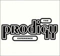 PRODIGY - EXPERIENCE (VINYL)