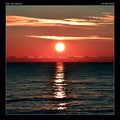 BACHMANN,ERIC - NO RECOVER (VINYL)