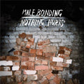 MALE BONDING - NOTHING HURTS (VINYL)