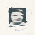 WILD NOTHING - HOLD (VINYL)