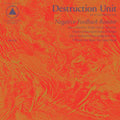 DESTRUCTION UNIT - NEGATIVE FEEDBACK RESISTOR (VINYL)