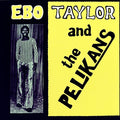 TAYLOR,EBO AND THE PELIKANS - EBO TAYLOR AND THE PELIKANS (VINYL)