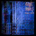 GRAVE BABIES - HOLOGRAPHIC VIOLENCE (INCL DOWNLOAD CARD) (VINYL)