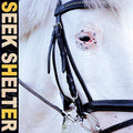 ICEAGE - SEEK SHELTER (VINYL)