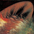 RESPIRE - BLACK LINE (VINYL)