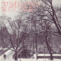 BRUCE COCKBURN - HIGH WINDS WHITE SKIES (VINYL)