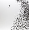 WILCO - SKY BLUE SKY (VINYL)