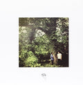 NUMERATORS - DEAD (VINYL)