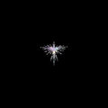 KAREN O / DANGER MOUSE - LUX PRIMA (VINYL)