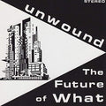 UNWOUND - FUTURE OF WHAT (VINYL)