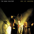 SEA OF COWARDS (VINYL)