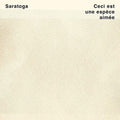 SARATOGA - CECI EST UNE ESPECE AIMEE (VINYL)