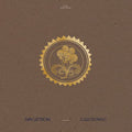 MARY LATTIMORE - COLLECTED PIECES: 2015-2020 (VINYL)