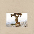 SHELLAC - DUDE INCREDIBLE (VINYL)